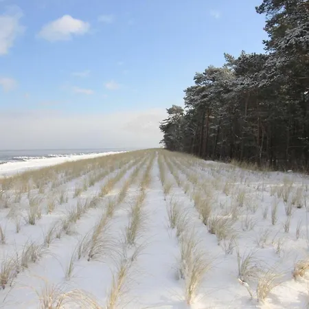 Weisse Am Meer * Zempin